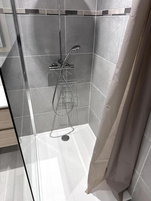 Appartement T4 En Hyper-Centre Bourgoin-Jallieu Екстериор снимка