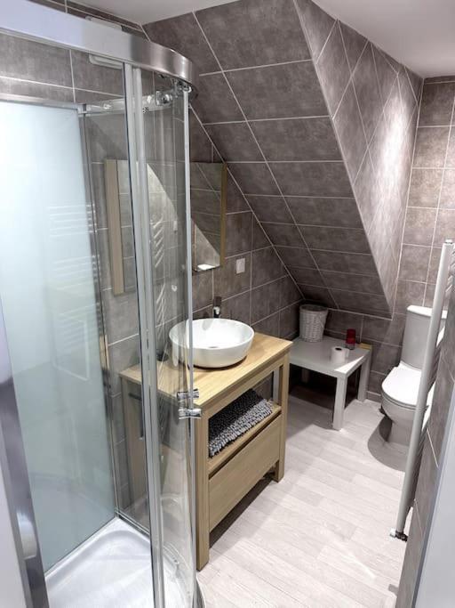 Appartement T4 En Hyper-Centre Bourgoin-Jallieu Екстериор снимка